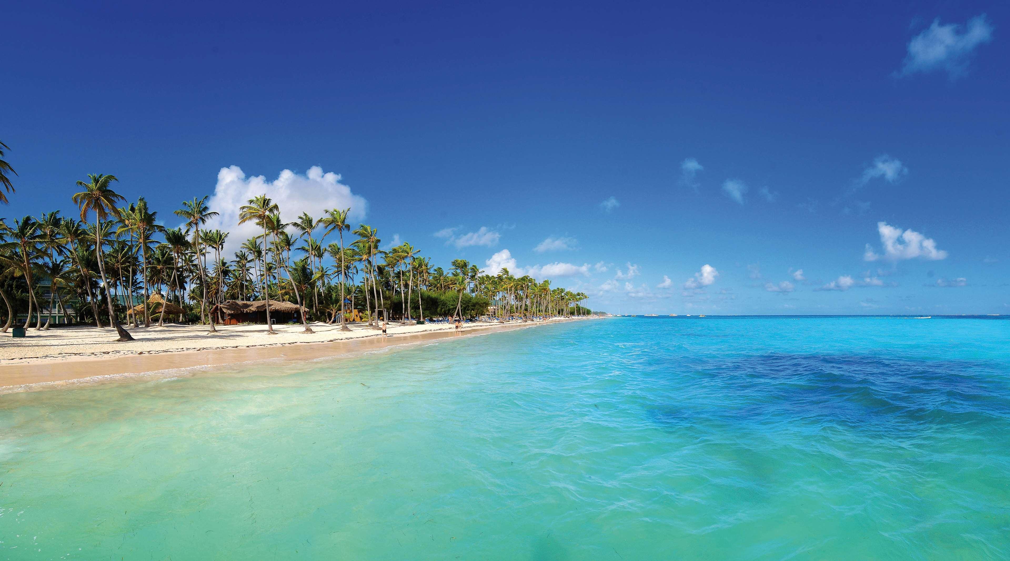 Barcelo Bavaro Beach (Adults Only) Punta Cana Eksteriør bilde Beach in Punta Cana